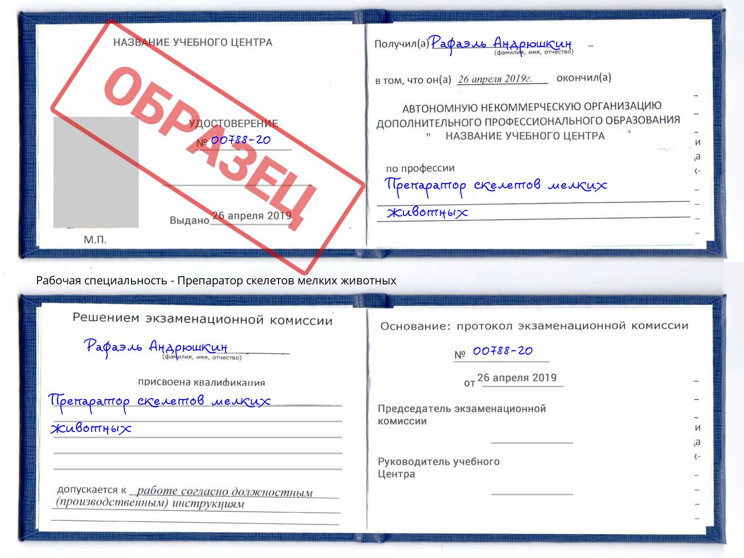 Препаратор скелетов мелких животных Ногинск