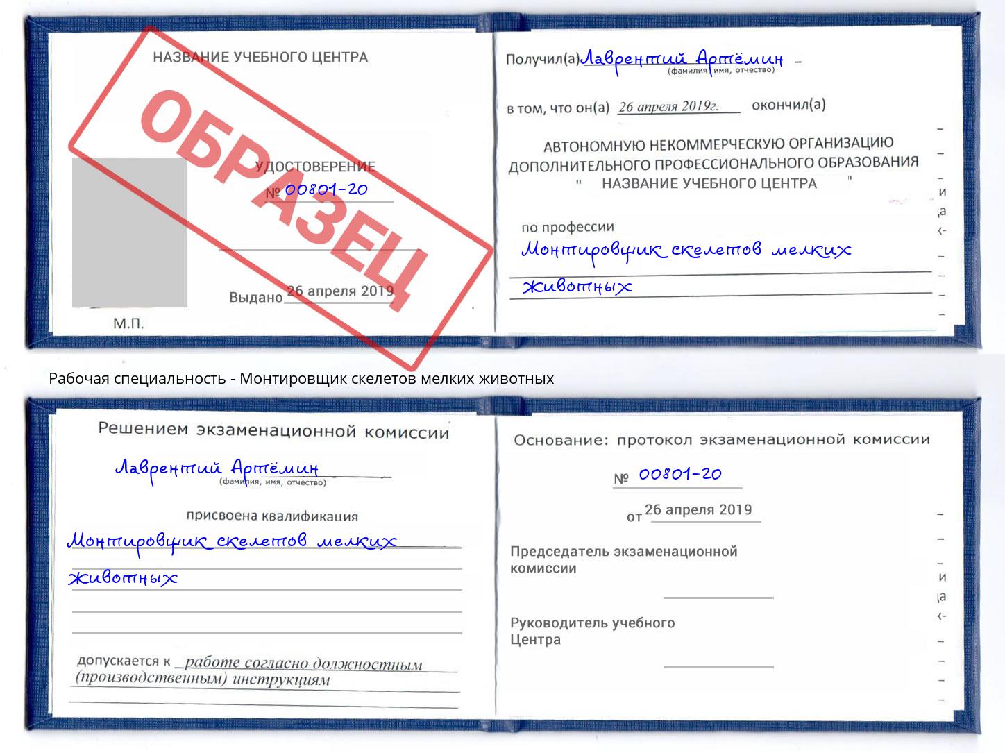 Монтировщик скелетов мелких животных Ногинск