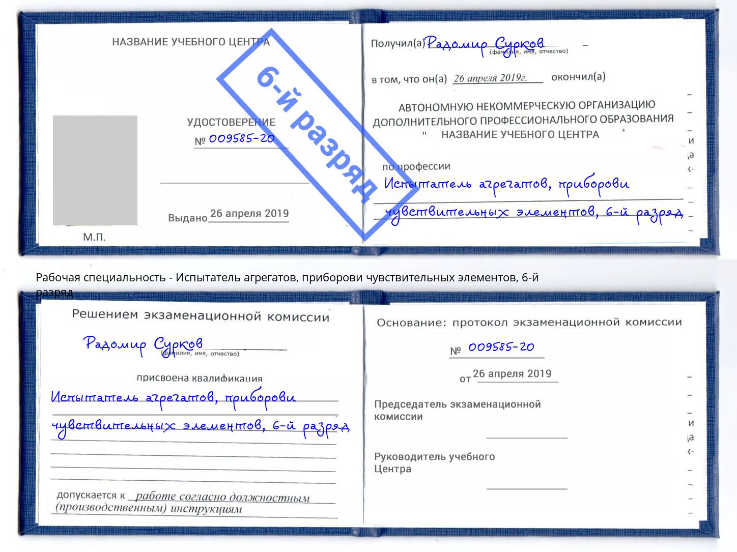 корочка 6-й разряд Испытатель агрегатов, приборови чувствительных элементов Ногинск