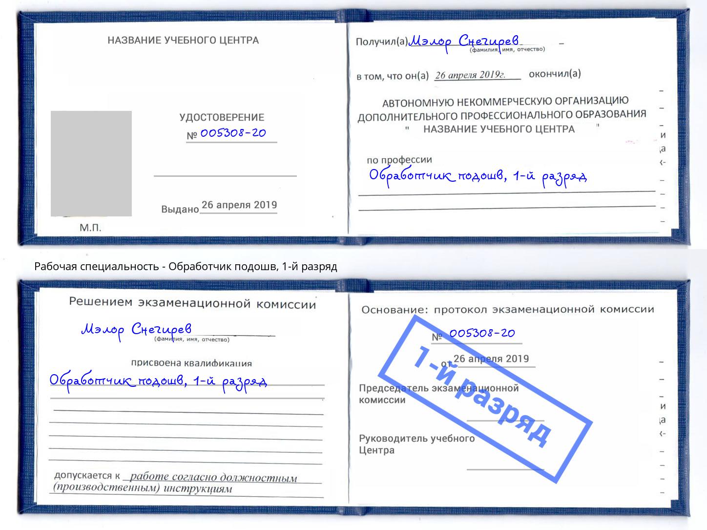 корочка 1-й разряд Обработчик подошв Ногинск