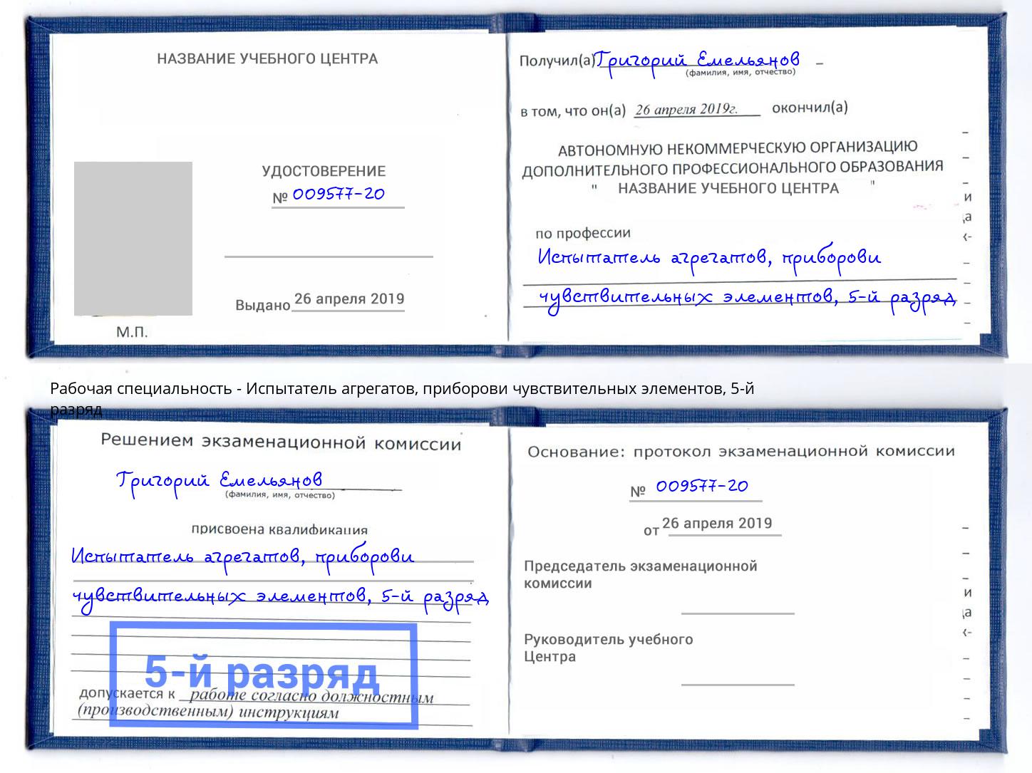 корочка 5-й разряд Испытатель агрегатов, приборови чувствительных элементов Ногинск