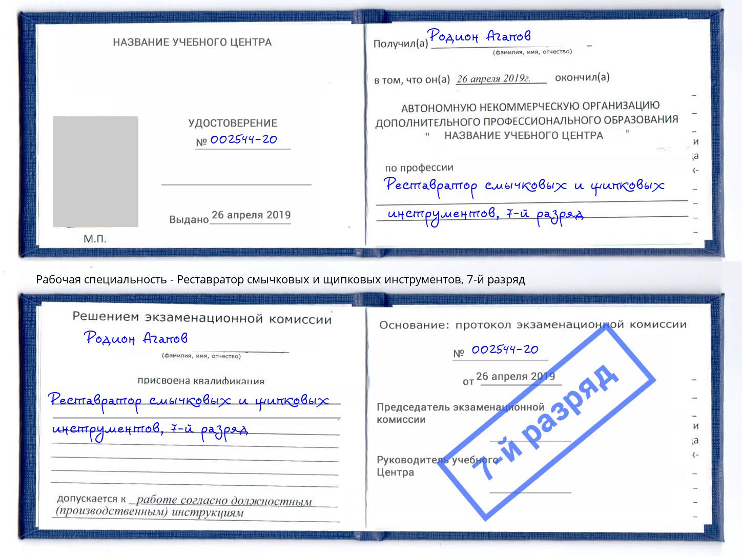 корочка 7-й разряд Реставратор смычковых и щипковых инструментов Ногинск