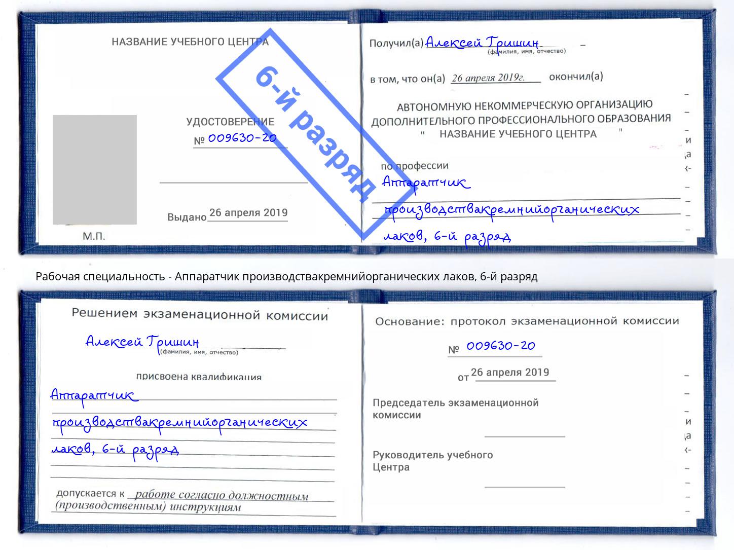 корочка 6-й разряд Аппаратчик производствакремнийорганических лаков Ногинск