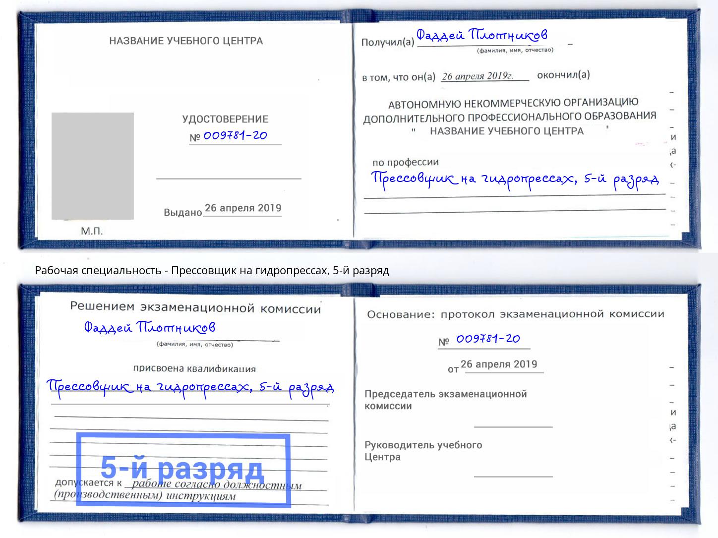 корочка 5-й разряд Прессовщик на гидропрессах Ногинск