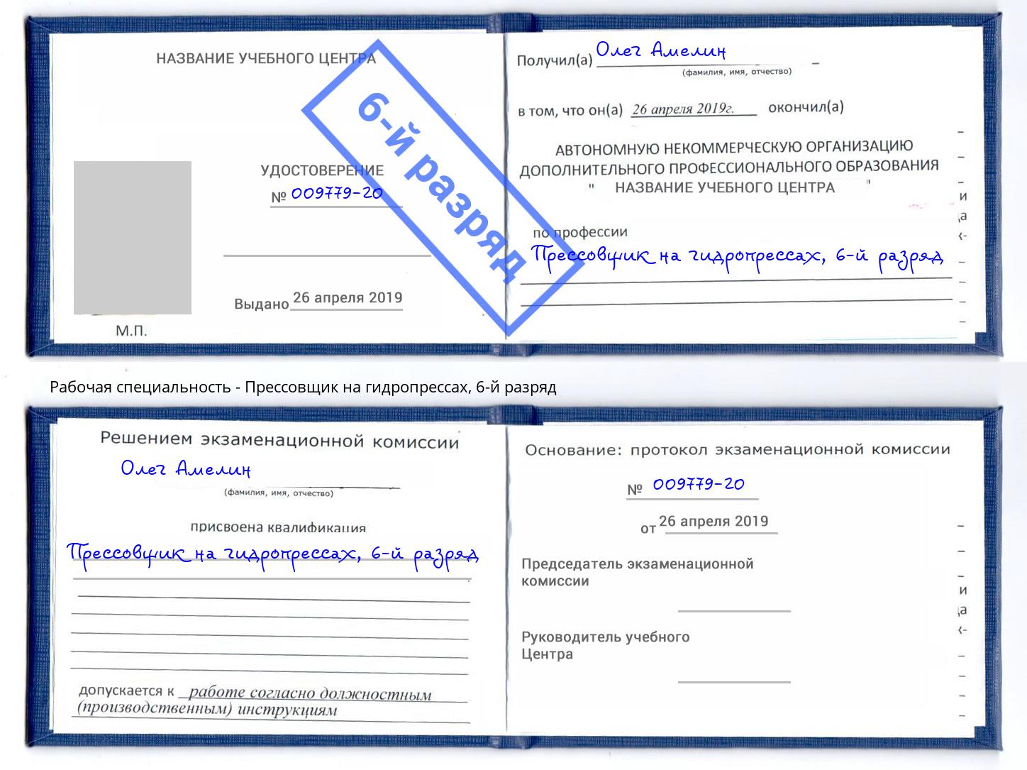 корочка 6-й разряд Прессовщик на гидропрессах Ногинск