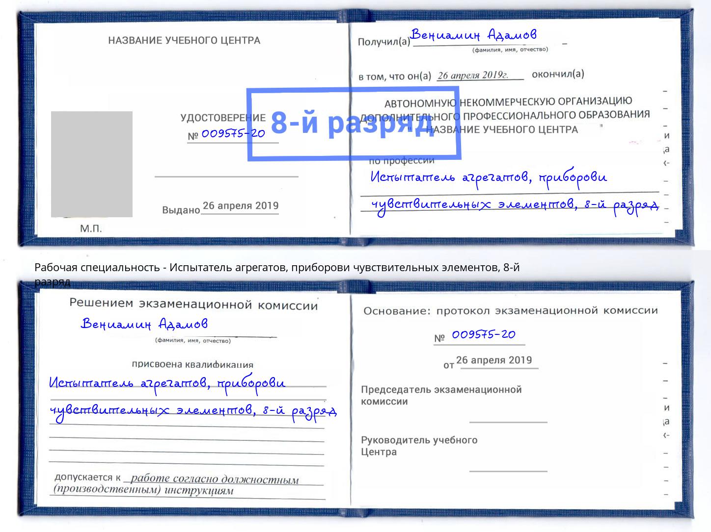 корочка 8-й разряд Испытатель агрегатов, приборови чувствительных элементов Ногинск